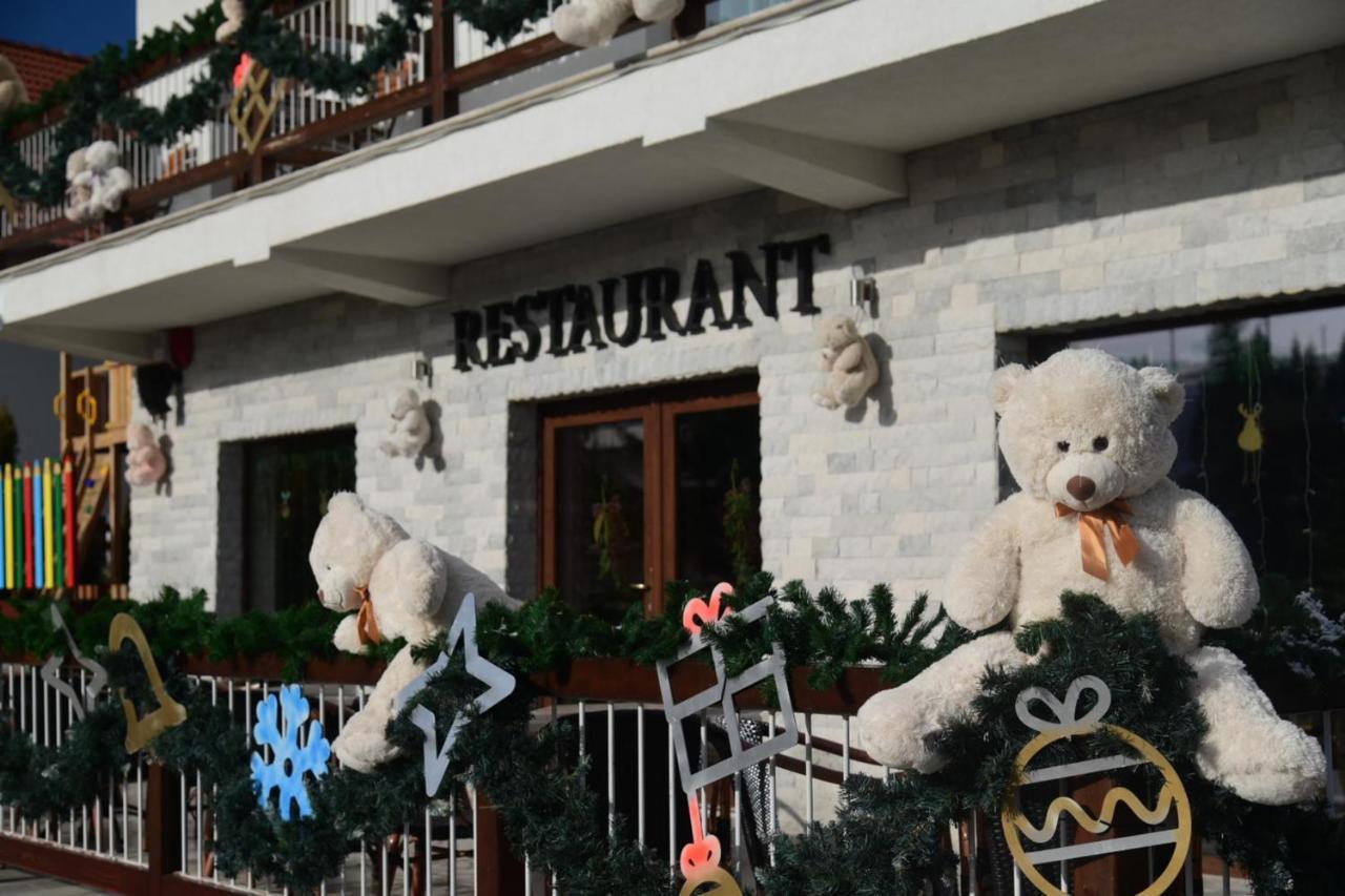 Pensiune Rara Păltiniş エクステリア 写真